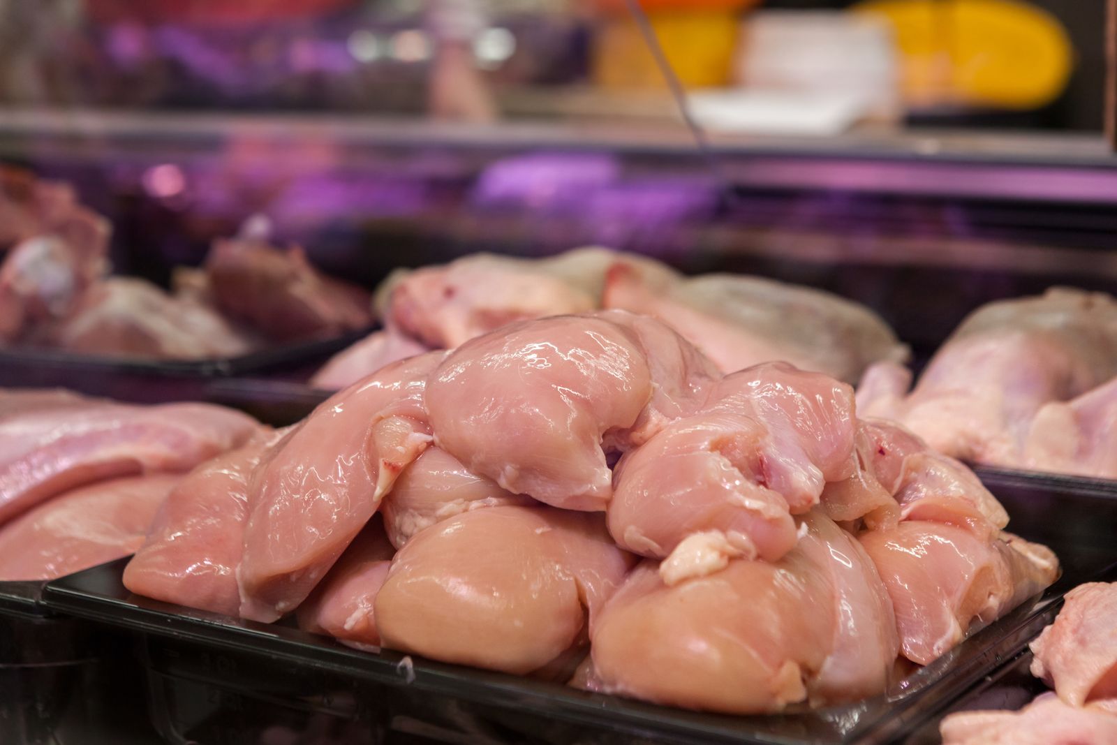 Fresh Chicken